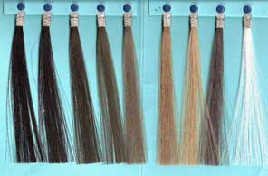 Exoderm Artificial hair implant Nido colors